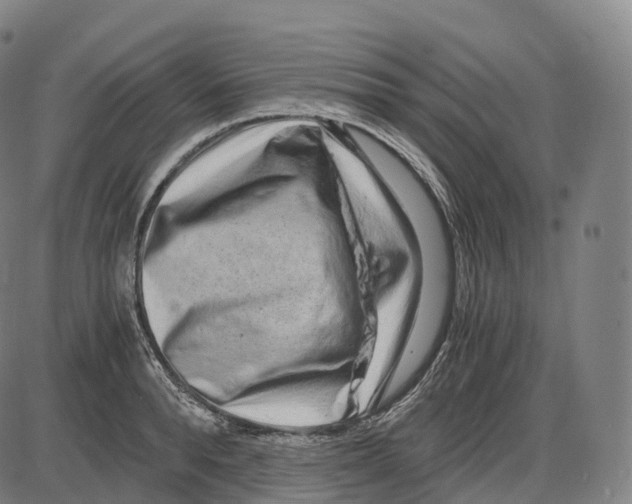 X0000083980896200703161554