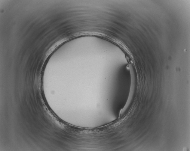 X0000083980898200703161554