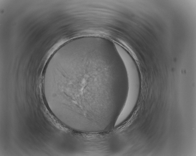 X0000083980899200703161554