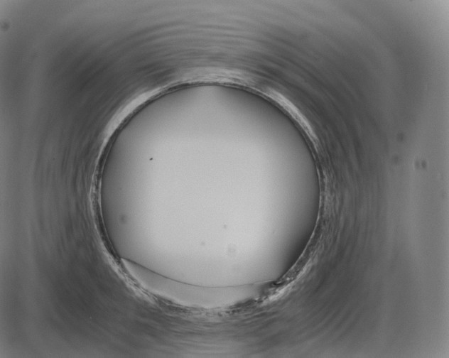 X0000083980901200703161554