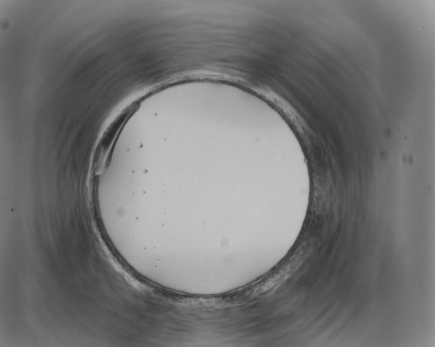 X0000083980902200703161554