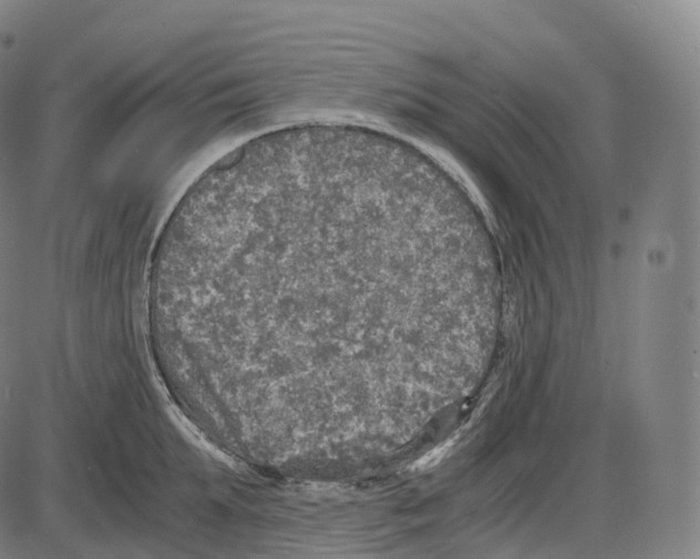 X0000083980903200703161554