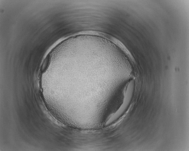 X0000083980908200703161554