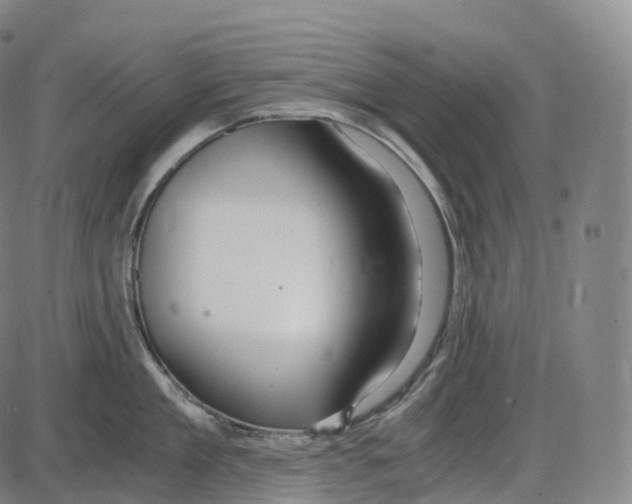 X0000083980909200703161554