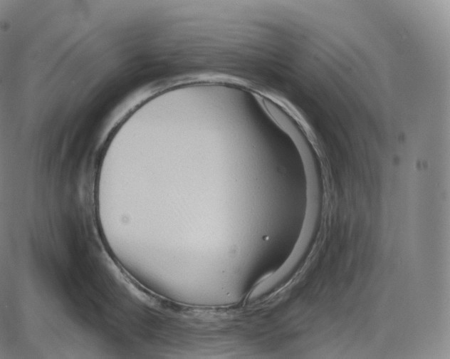 X0000083980910200703161554