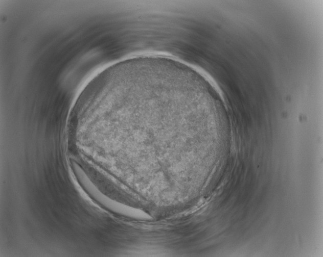 X0000083980911200703161554