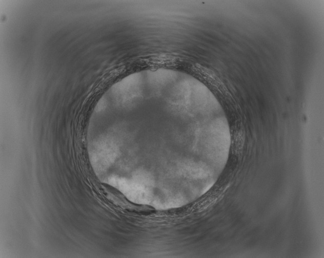 X0000083980913200703161553