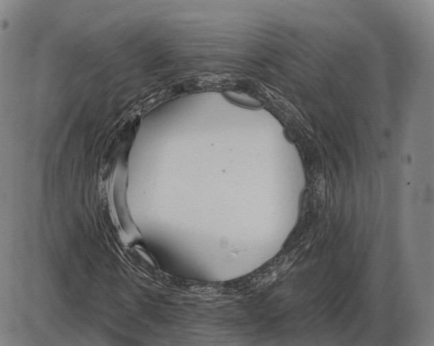 X0000083980914200703161553