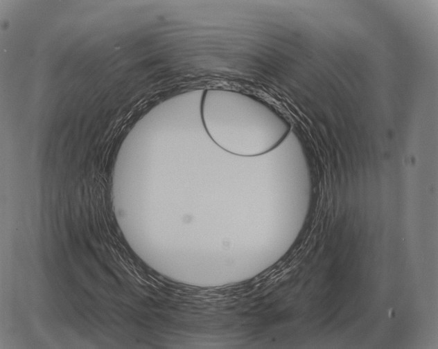 X0000083980916200703161553