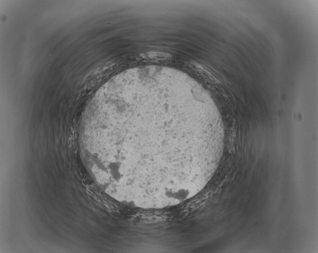 X0000083980917200703161553