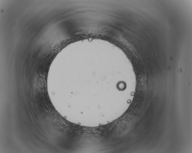 X0000083980918200703161553