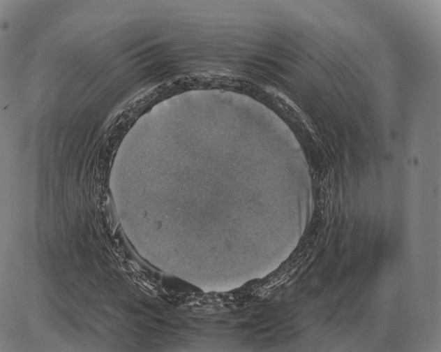 X0000083980919200703161553