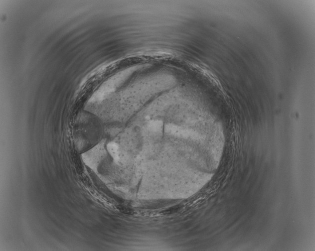 X0000083980920200703161553