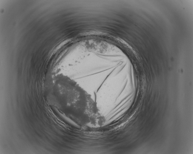 X0000083980921200703161553