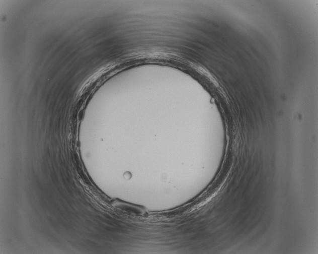 X0000083980922200703161553