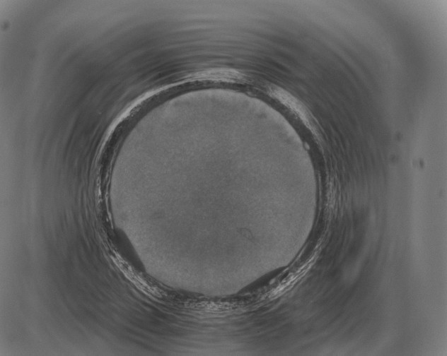 X0000083980923200703161553