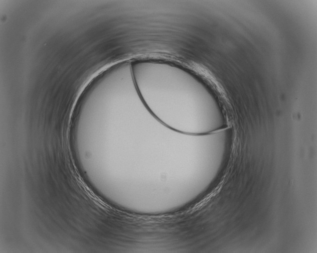 X0000083980924200703161553