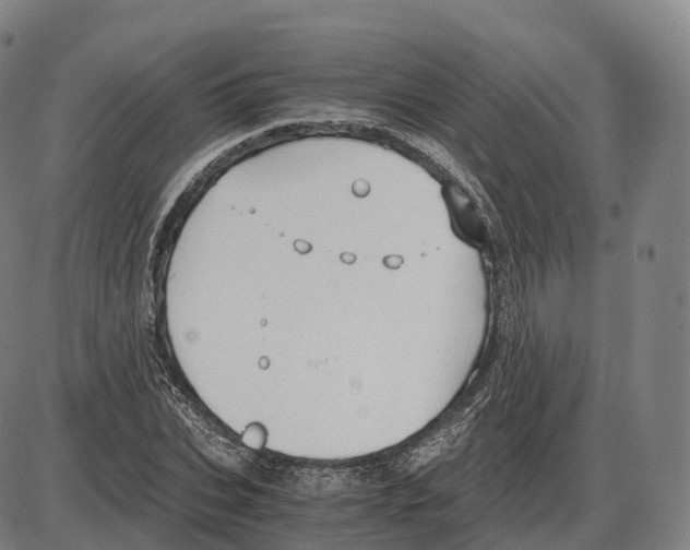 X0000083980927200703161553