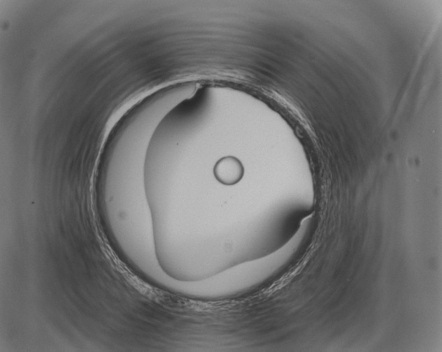 X0000083980928200703161553