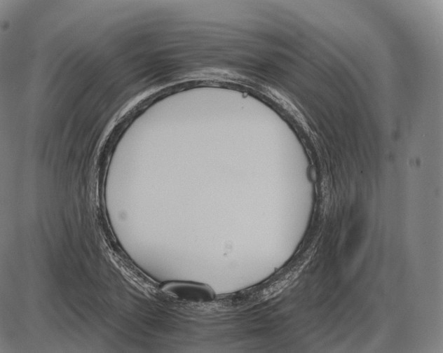 X0000083980931200703161553