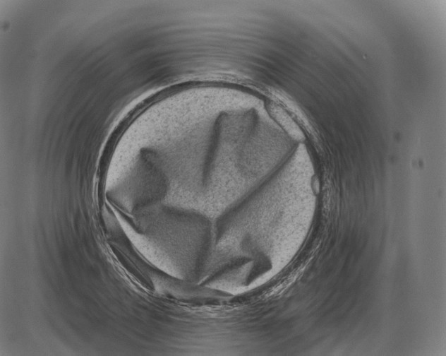 X0000083980932200703161553