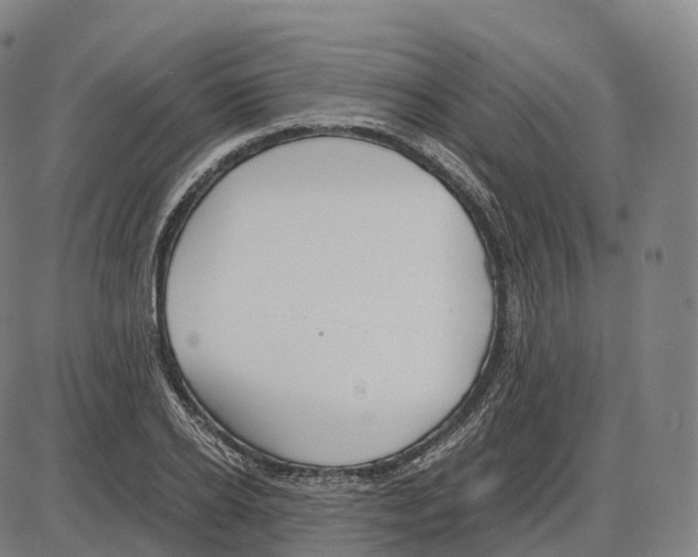 X0000083980934200703161553