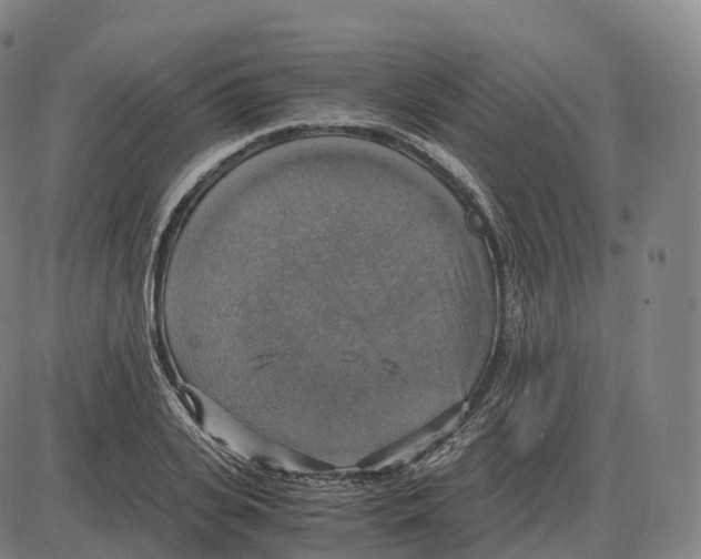 X0000083980935200703161553