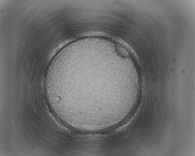 X0000083980937200703161553