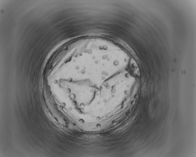 X0000083980939200703161553