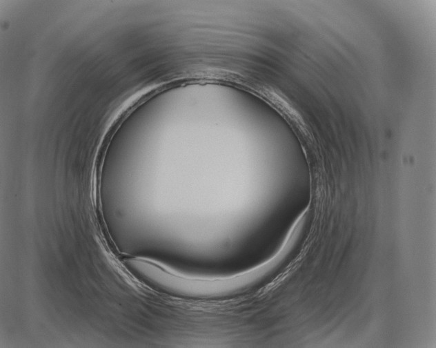 X0000083980940200703161553