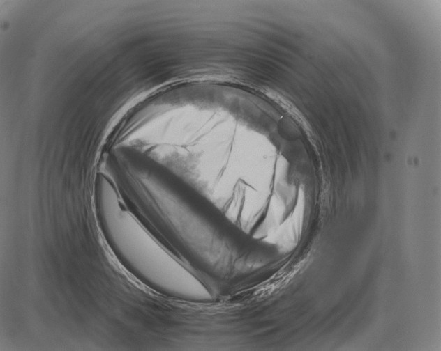 X0000083980941200703161553