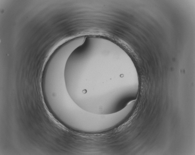 X0000083980942200703161553