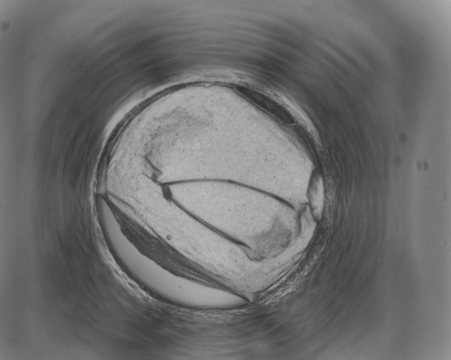 X0000083980944200703161553