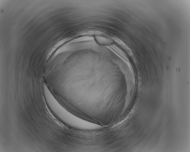 X0000083980945200703161553