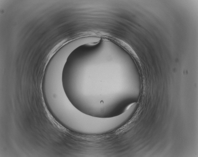 X0000083980946200703161553