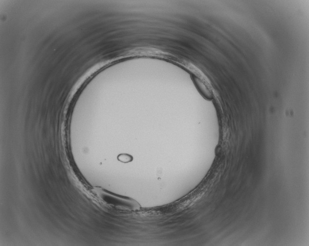 X0000083980947200703161553