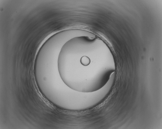 X0000083980948200703161553