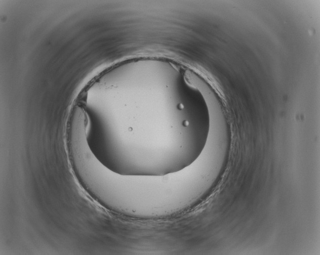 X0000083980950200703161553