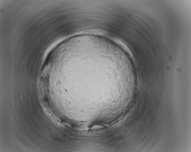 X0000083980952200703161553