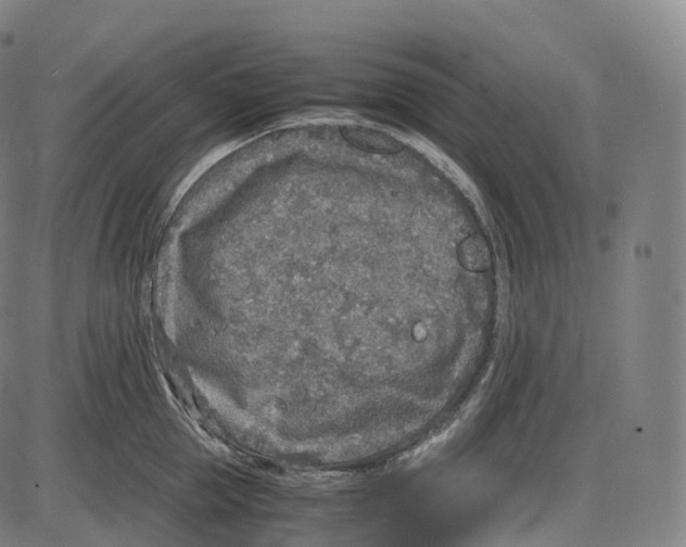 X0000083980953200703161553