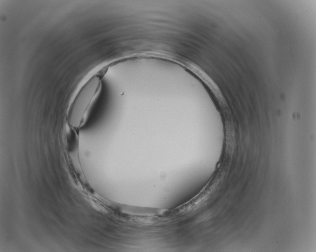 X0000083980956200703161553