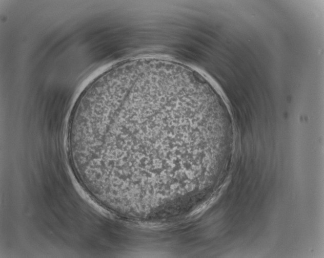 X0000083980957200703161553