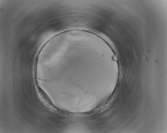 X0000083980958200703161553