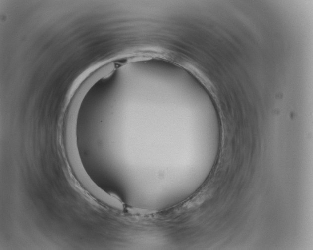 X0000083980960200703161554