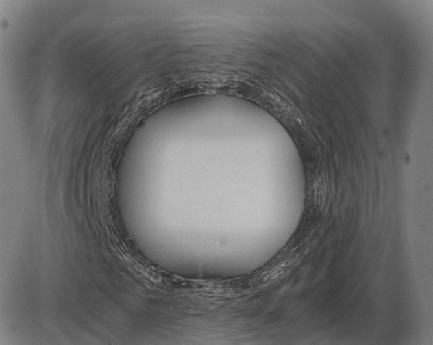 X0000083980961200703161553