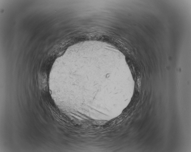 X0000083980963200703161553