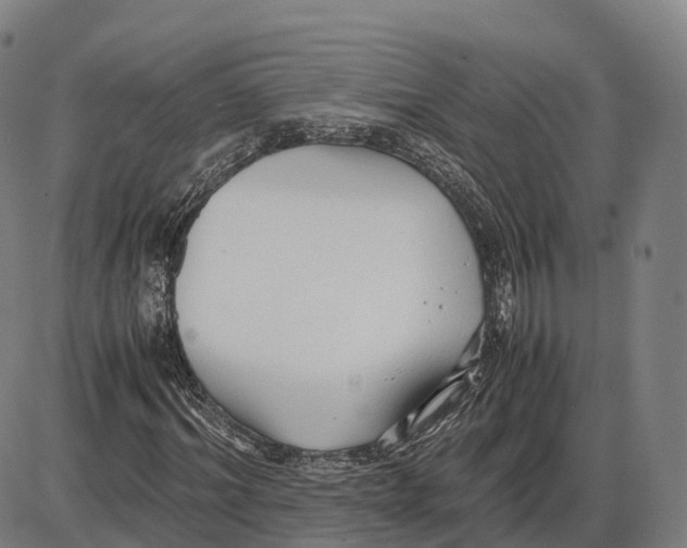 X0000083980964200703161553