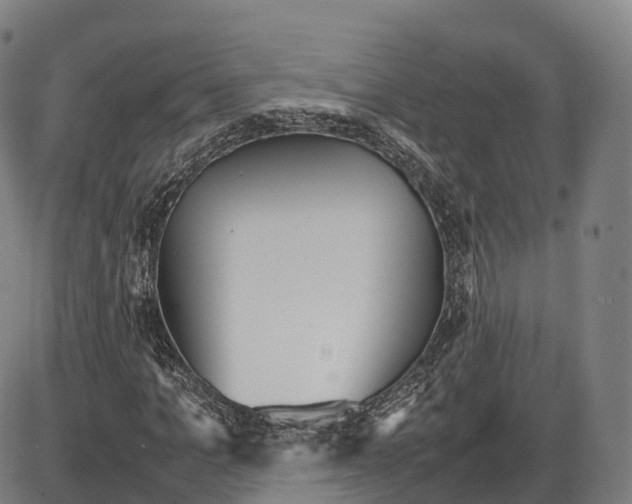 X0000083980965200703161553