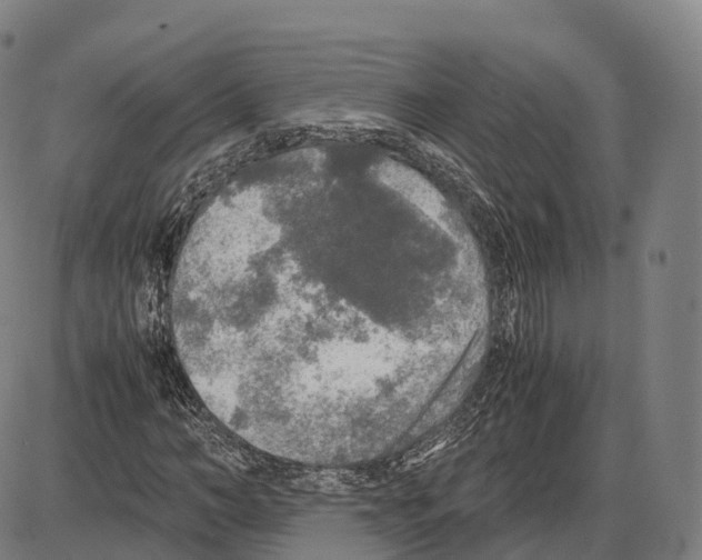 X0000083980966200703161553