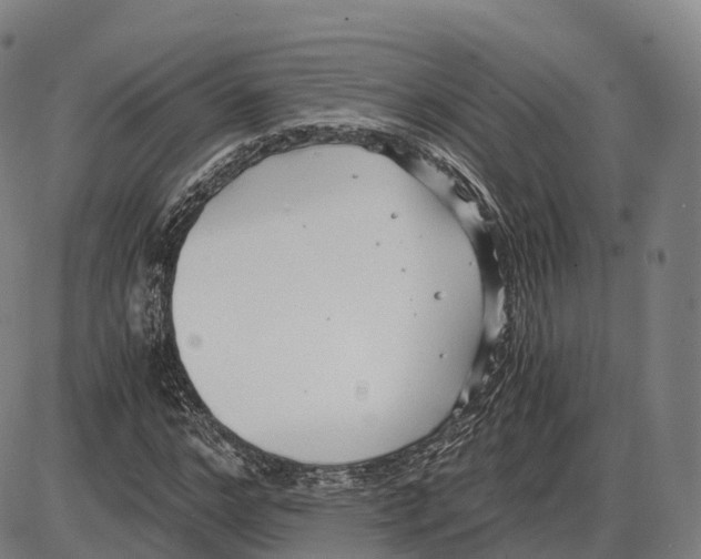 X0000083980968200703161553